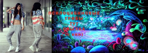 трава Алзамай