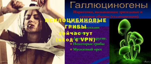 трава Алзамай